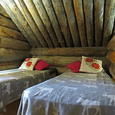 Polar Star Polar Kelo レヴィ