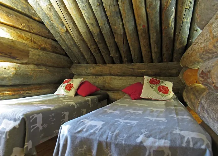 Polar Star Polar Kelo 레비